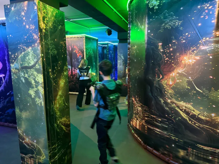 Fritzpark Zella-Mehlis: Lasertag-Spieler zwischen leuchtenden Waldkulissen